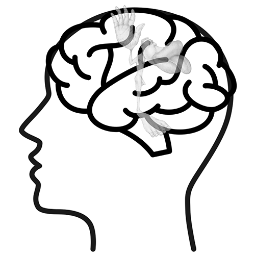 Sensomotorische training